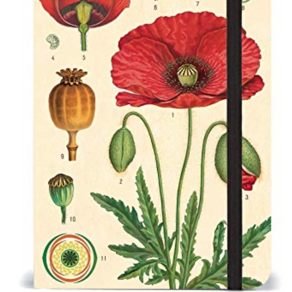 Cavallini & Co. Botany Study Of The Poppy Lined Notebook, 4” x 6” Inches - NWT - Picture 7 of 10